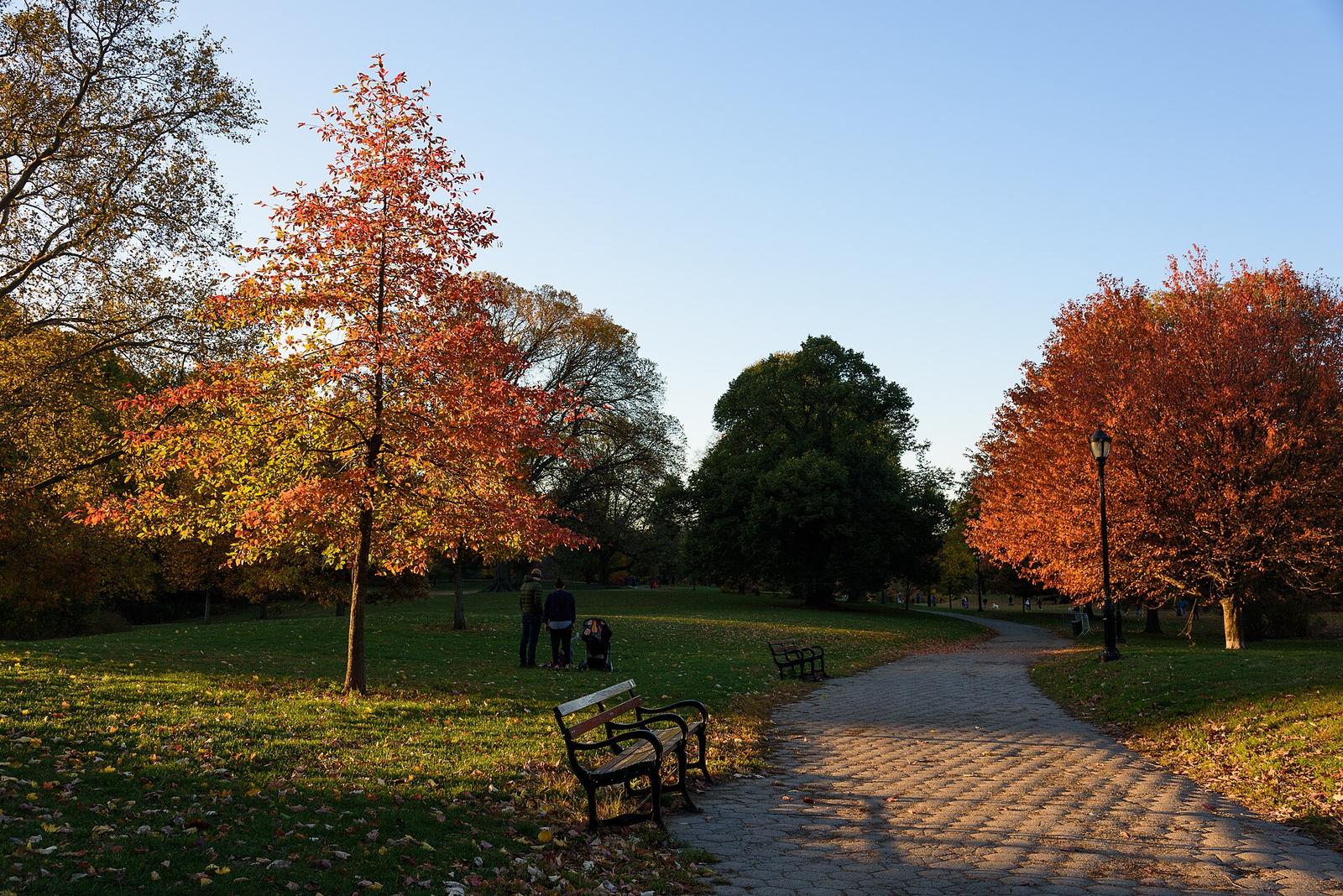 Prospect Park New York October 2015