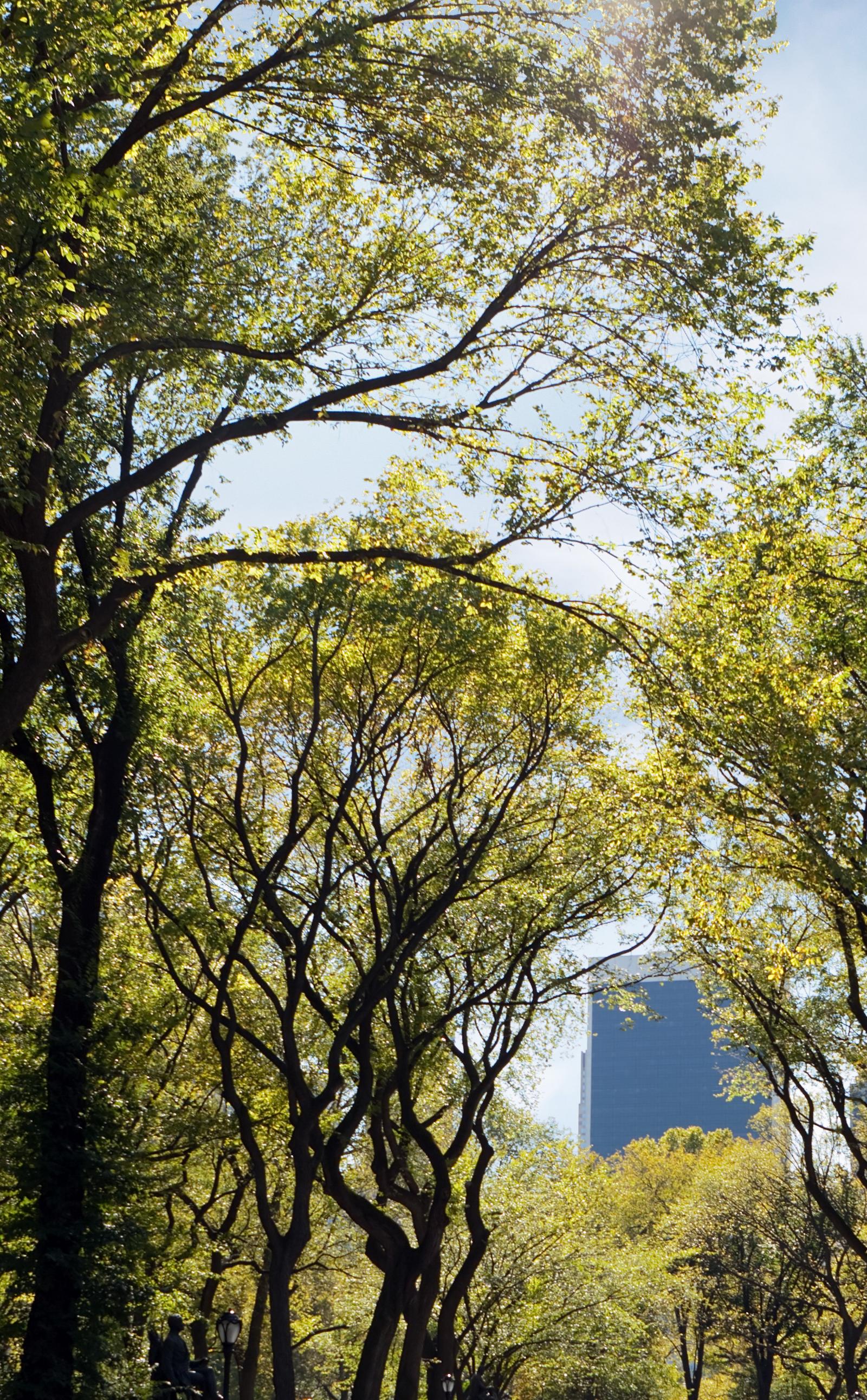 A Seasonal Guide to New York City’s Cultural and Outdoor Calendar